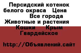 Персидский котенок белого окраса › Цена ­ 35 000 - Все города Животные и растения » Кошки   . Крым,Гвардейское